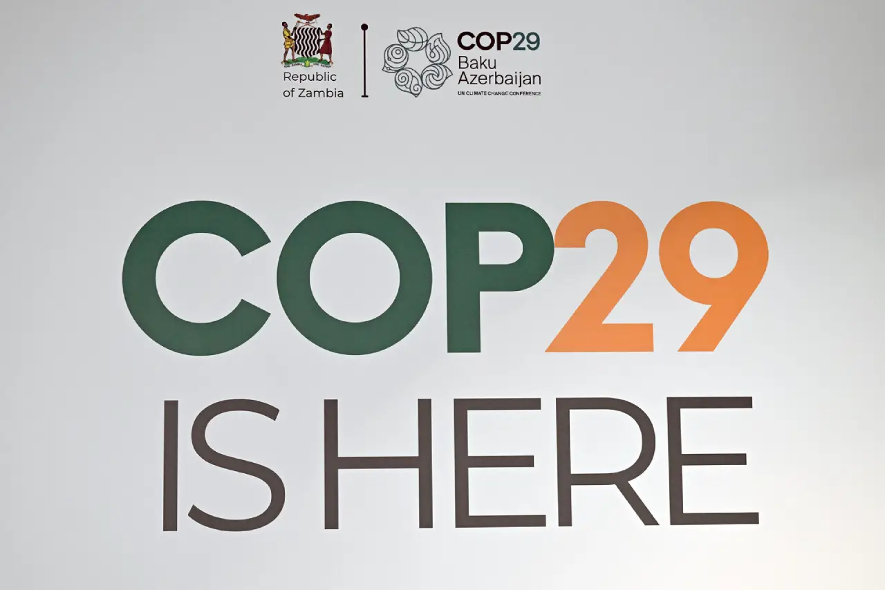Understanding COP 29: A Comprehensive Explainer on Climate Action and Health