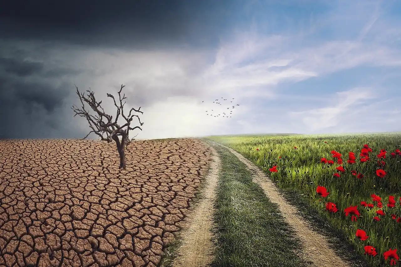 Global Temperatures on Track for Record Highs as WHO Calls for Health-Centered Climate Action Ahead of COP29