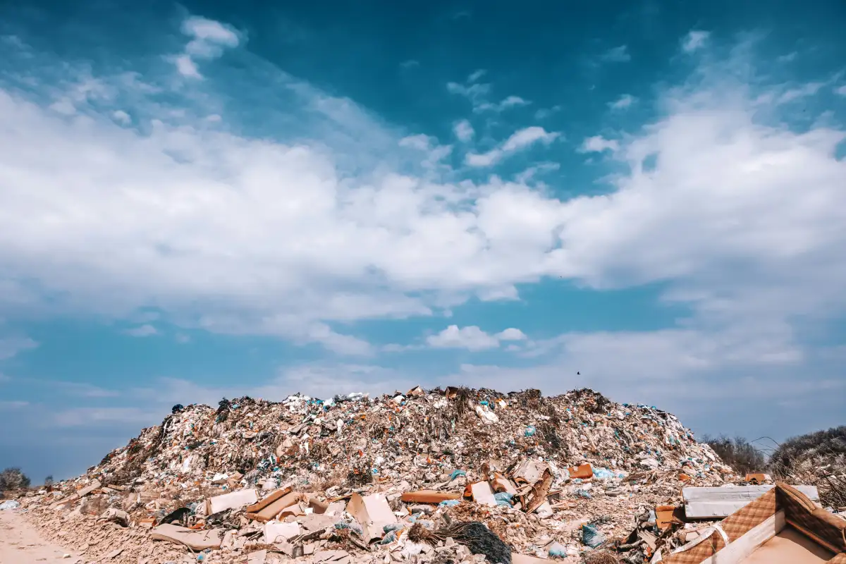 Growing Up With Fables, Waking Up to Landfills