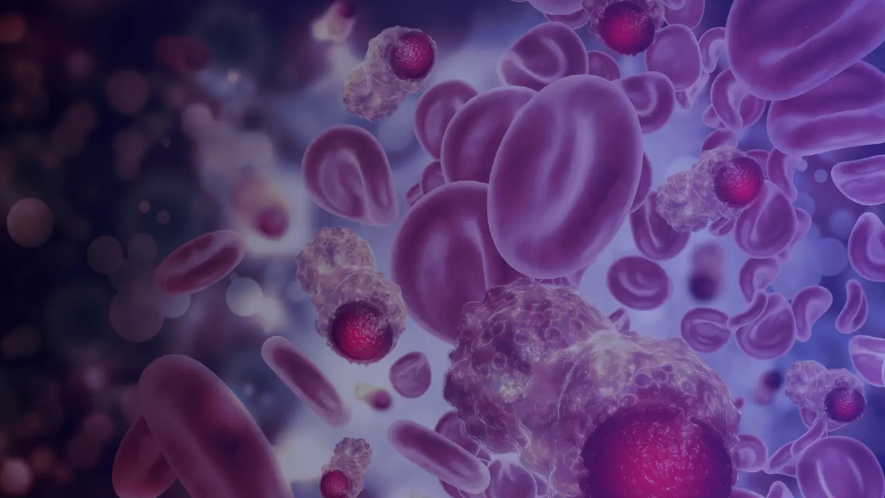 Blood Cancer Myths vs Facts | Understanding Treatment and Prevention